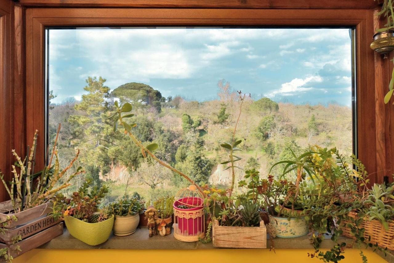 La Casetta Della Nonna Bagnoregio Exterior foto