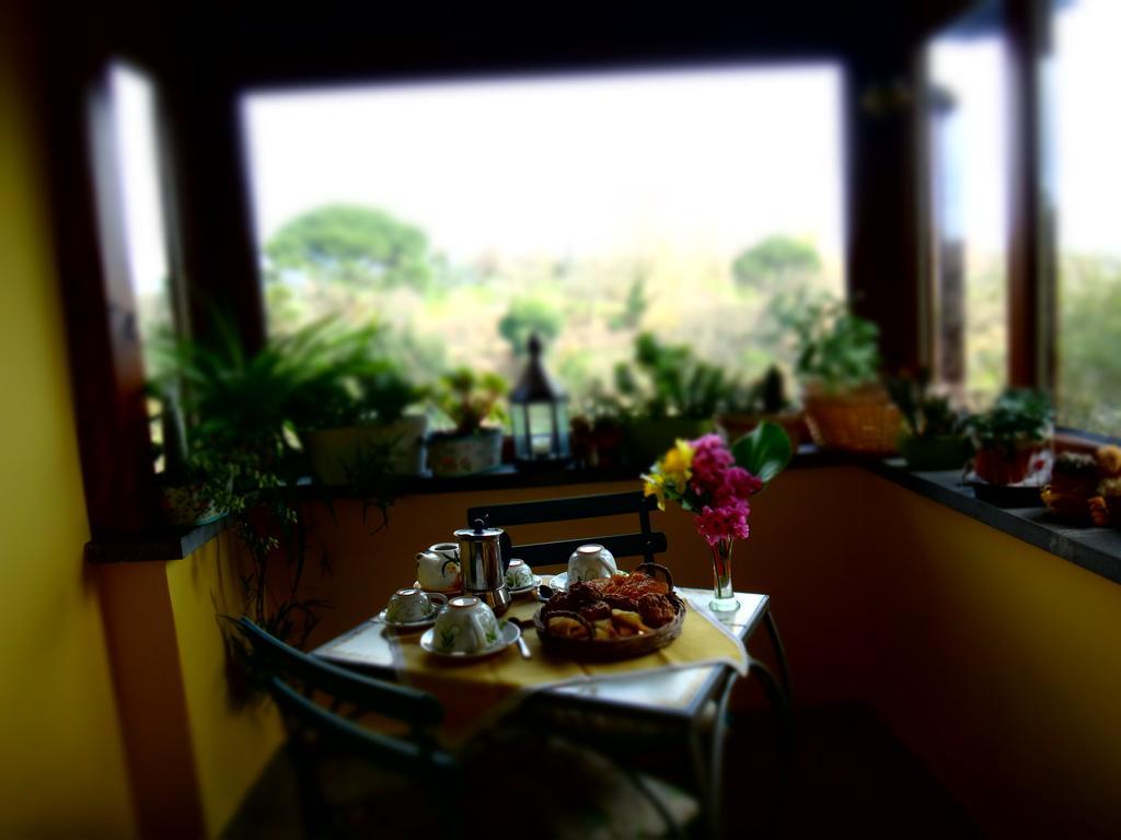 La Casetta Della Nonna Bagnoregio Exterior foto